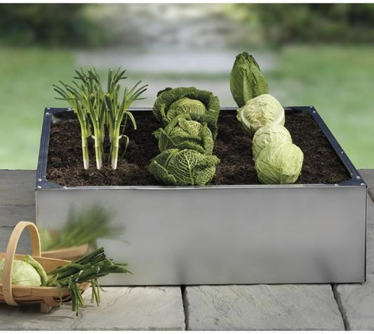 Galvanised Raised Bed 100 x 100 x 30cm