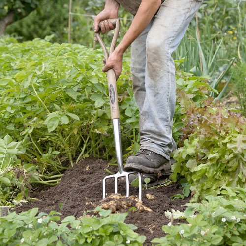 Spear & Jackson Digging Fork Traditional Stainless Steel
