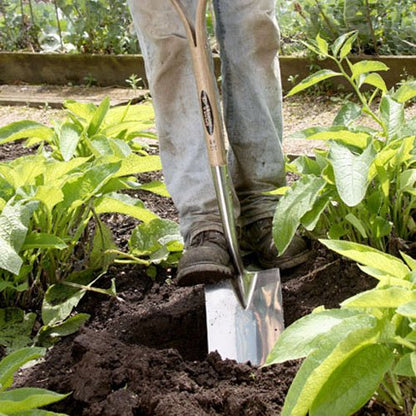 Spear & Jackson Border Spade Traditional Stainless Steel