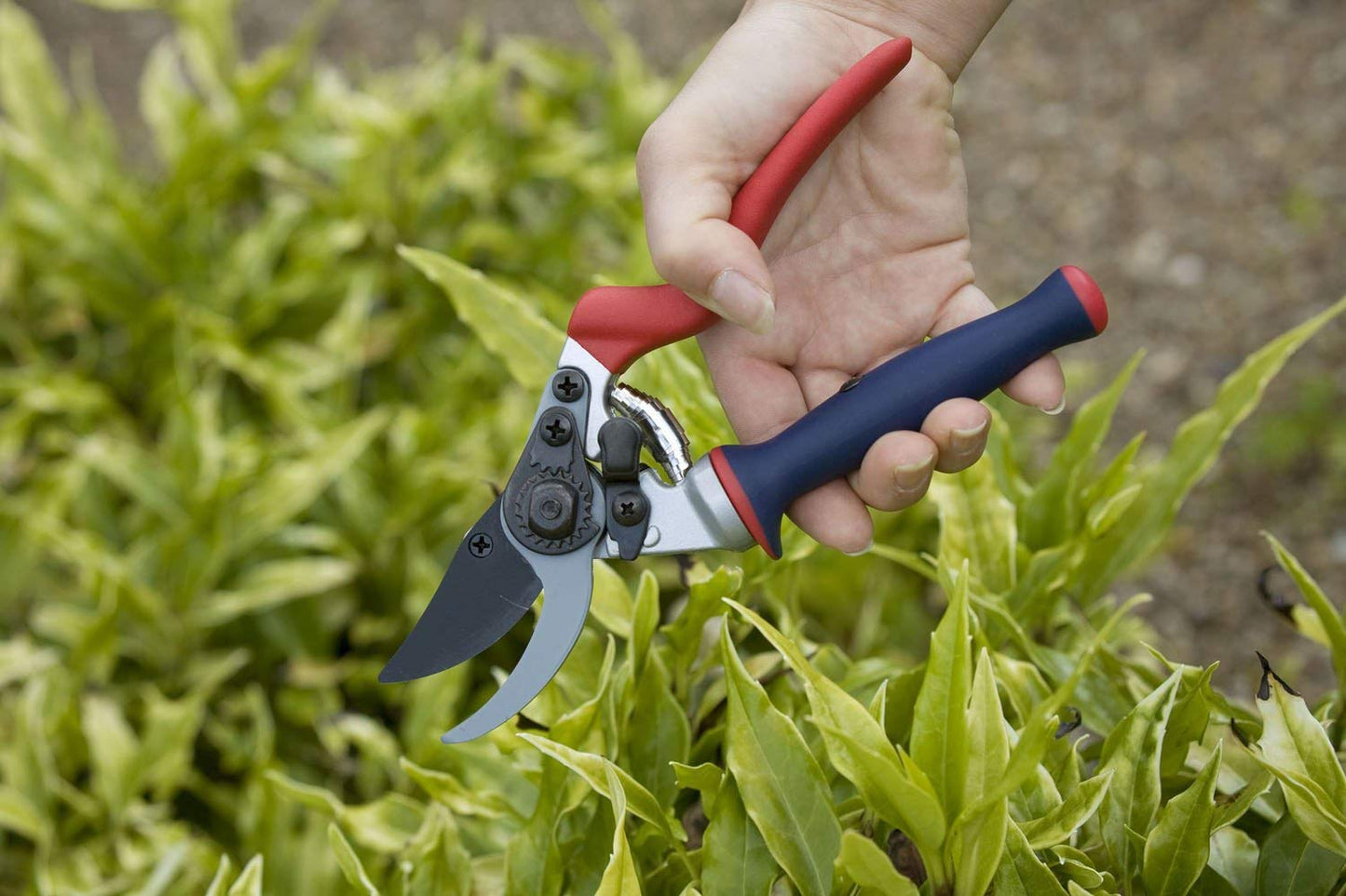 Spear & Jackson Razorsharp Ergo Twist Bypass Secateur