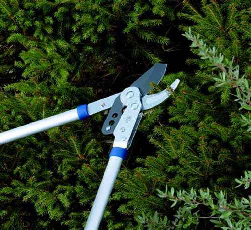 Spear & Jackson Razorsharp 27" Bypass Lopper