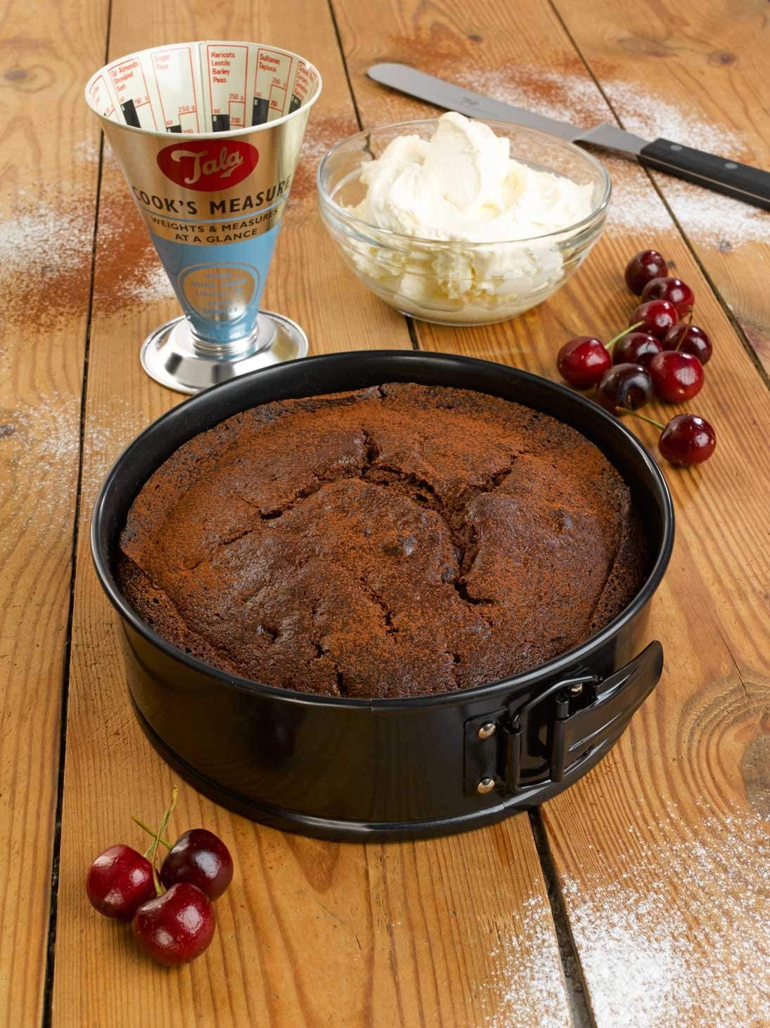 Tala Performance Springform Cake Tin 20cm
