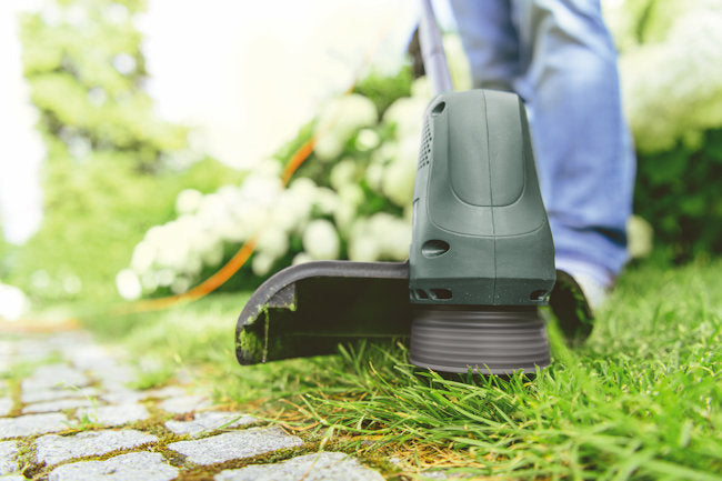 Bosch EasyGrassCut 23 Electric Grass Trimmer