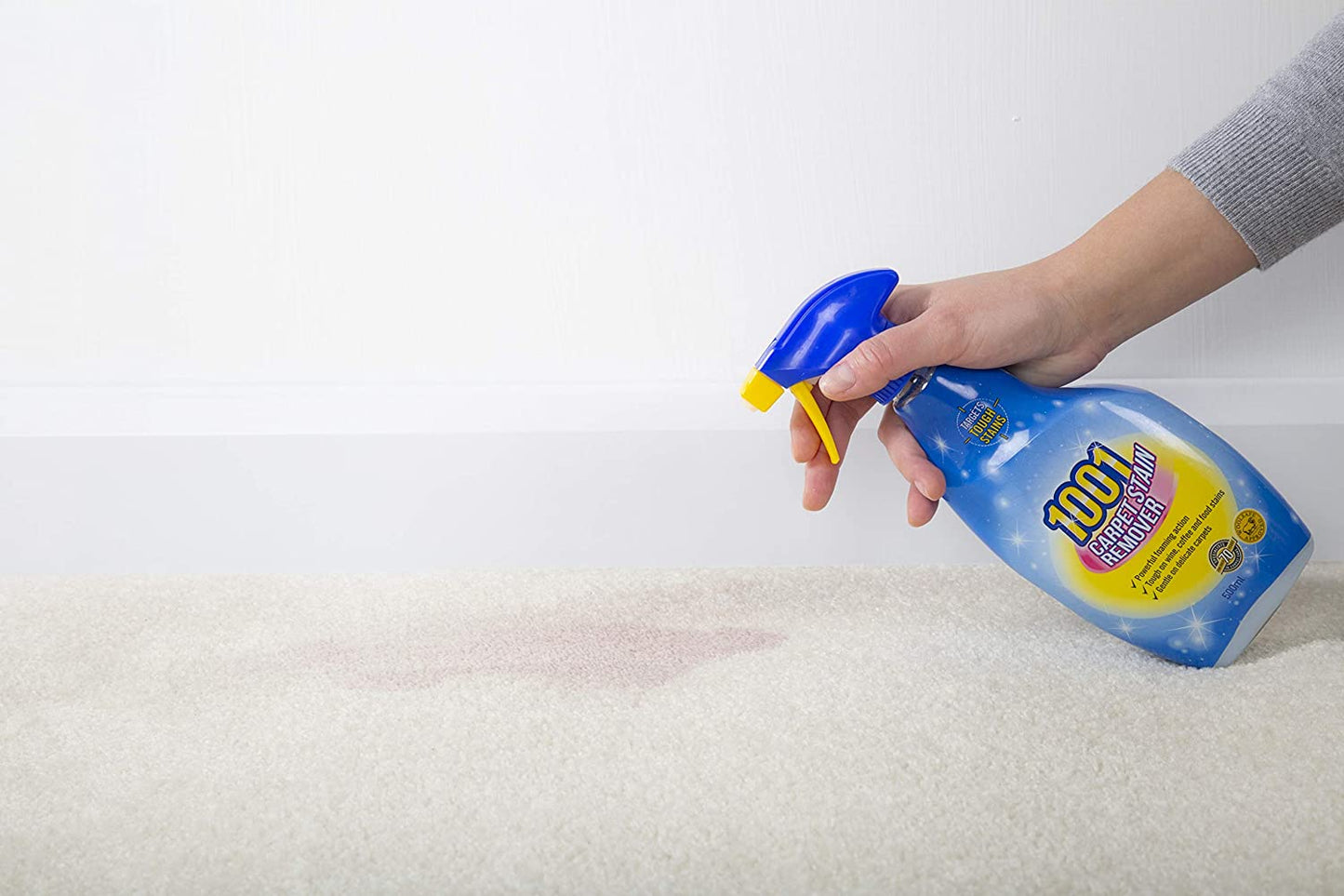 1001 Carpet Stain Remover 500ml