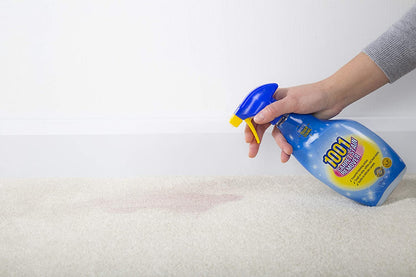 1001 Carpet Stain Remover 500ml