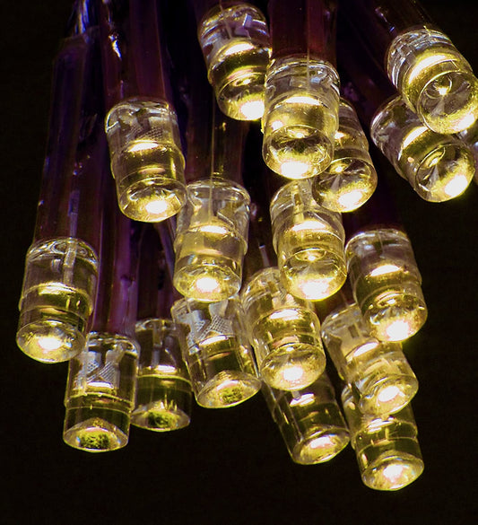 Premier Battery Operated LED Lights 35 LED