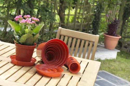 Whitefurze Plant Pot Terracotta 20cm/8"